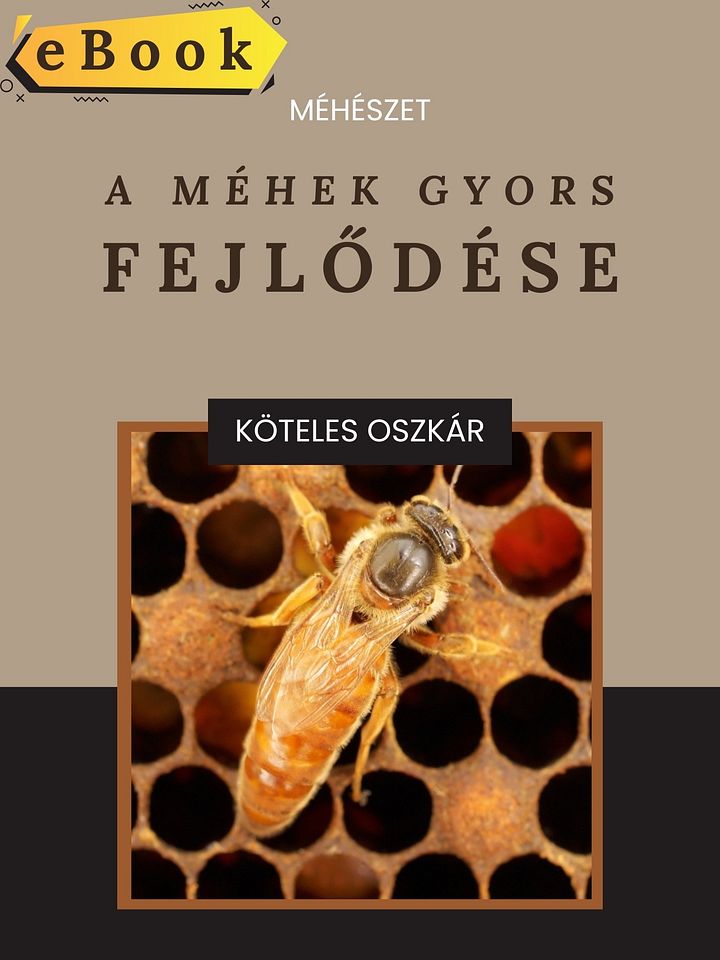 Elektronikus könyv - Méhészet - A méhek gyors fejlődése product image (1)