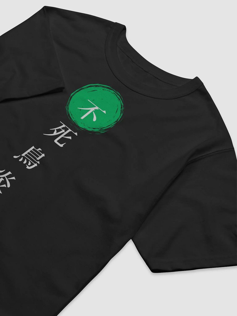 kuro T-Shirt X Champion product image (5)
