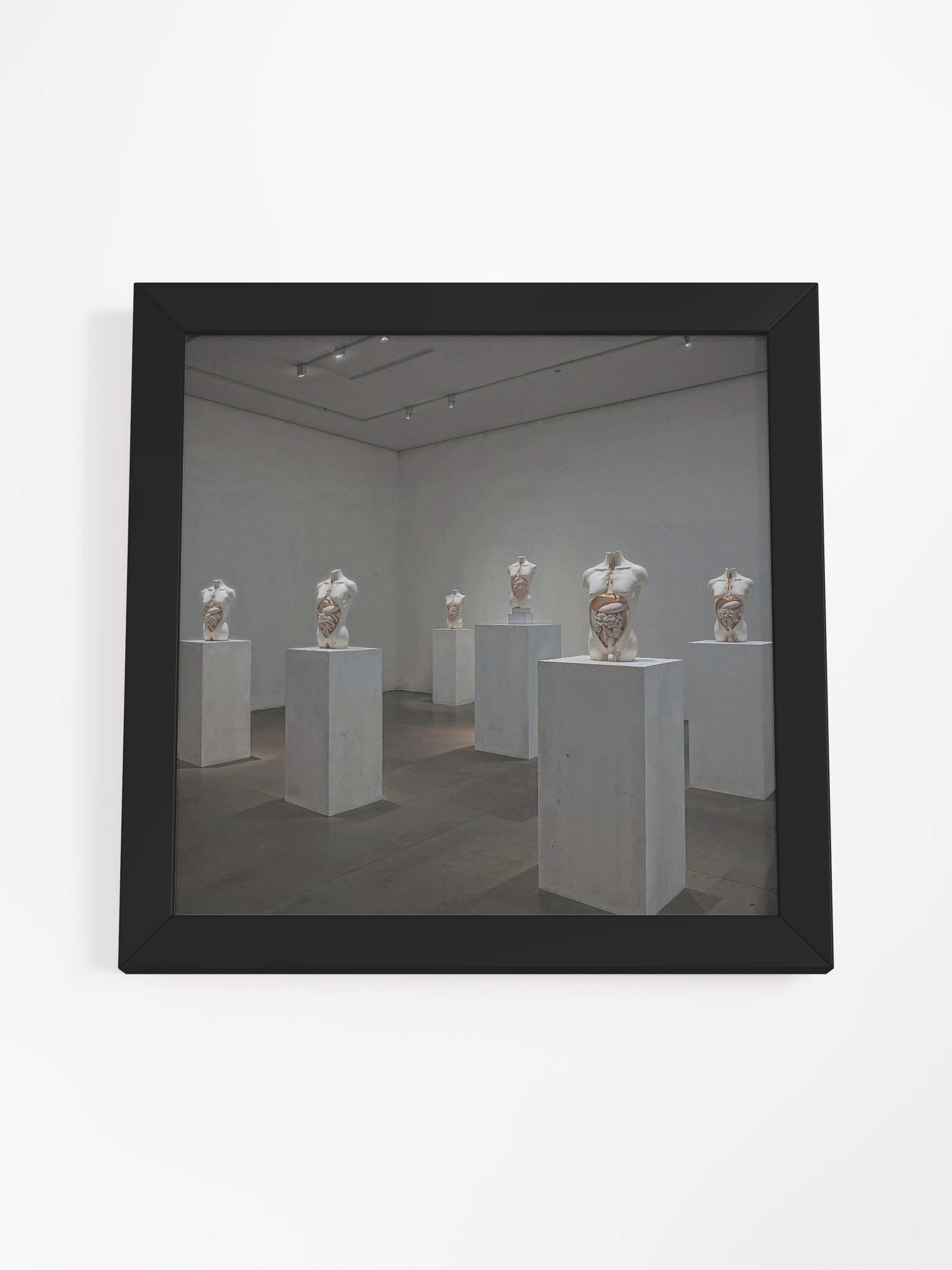 Anatomy of Silence Framed Print product image (19)
