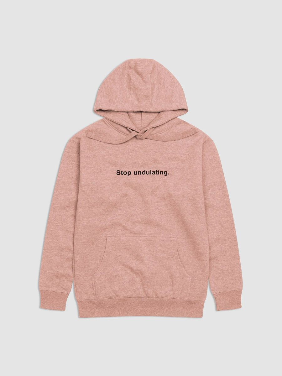 Stop Undulating Hoodie product image (3)