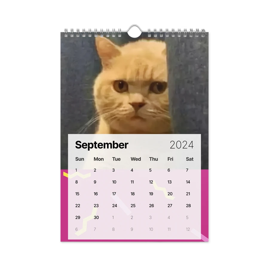 Wall Calendar (2024): Meme Cats product image (18)