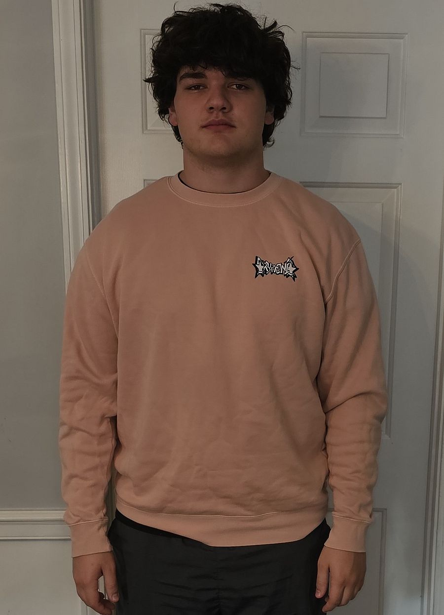 Cryptonic CRT Crewneck product image (6)