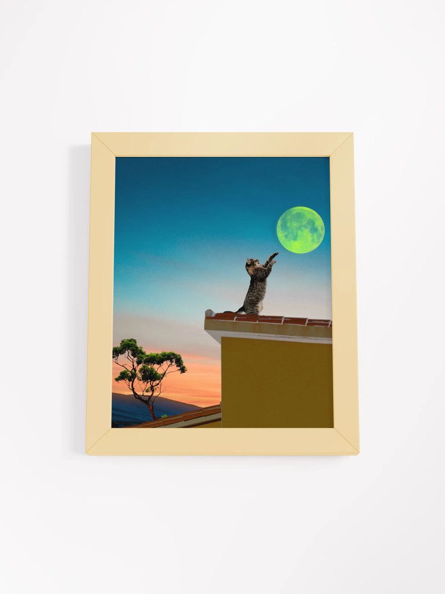 Shoot for the moon product image (2)