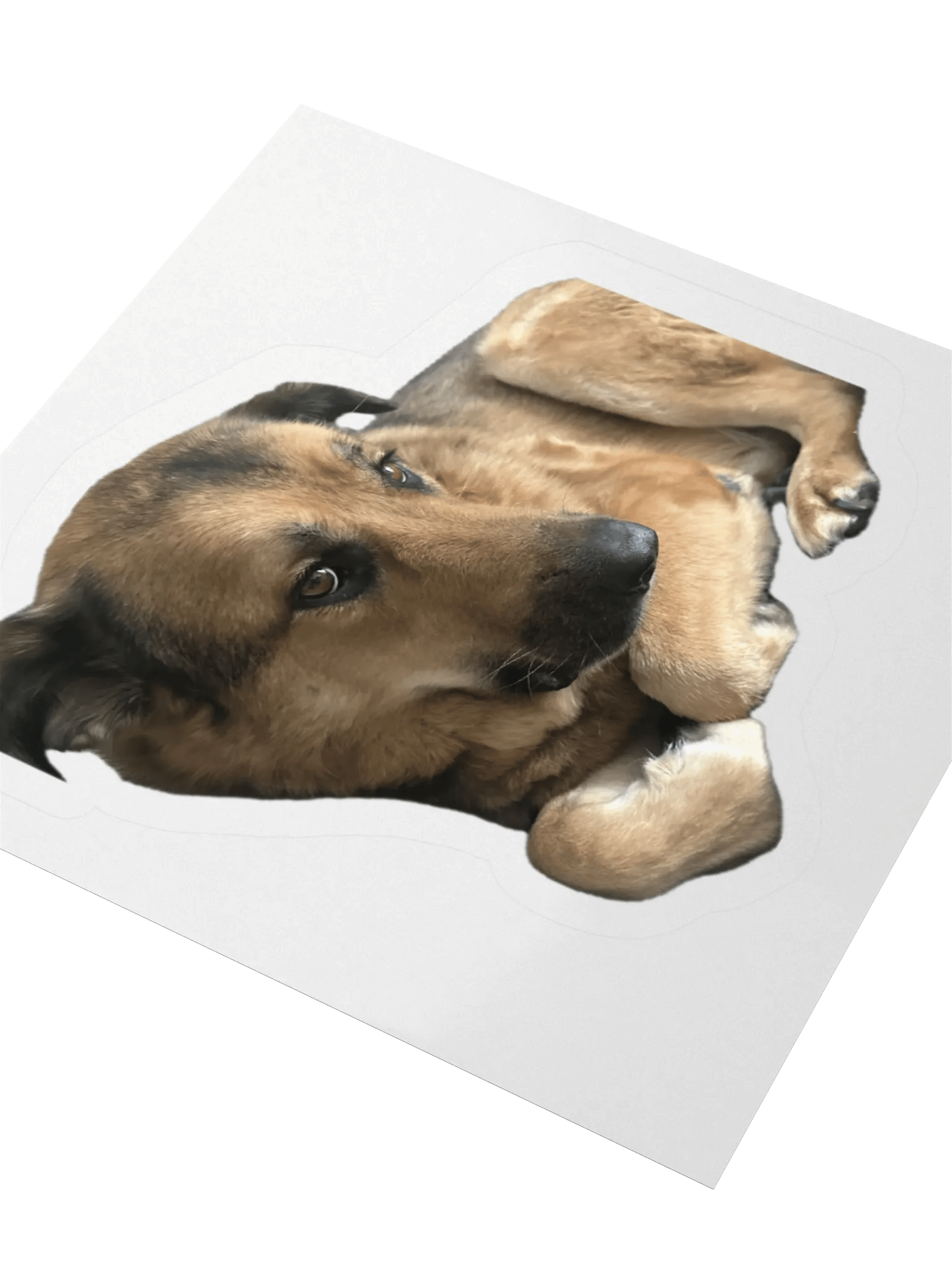 Charlie side eye stickies product image (9)