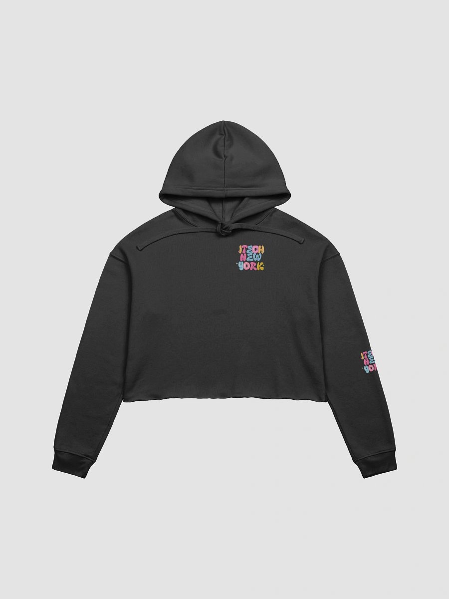 Bubble Letter Crop Hoodie - TECH NEW YORK Edition product image (4)