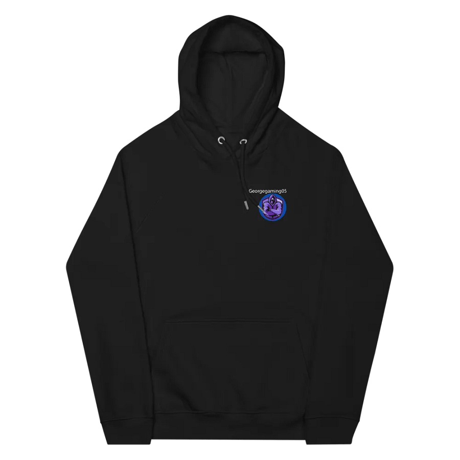 Unisex Hoodie product image (10)