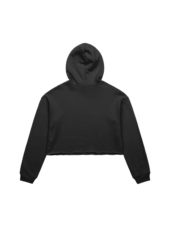 Ray's Pizza Crop Hoodie product image (17)