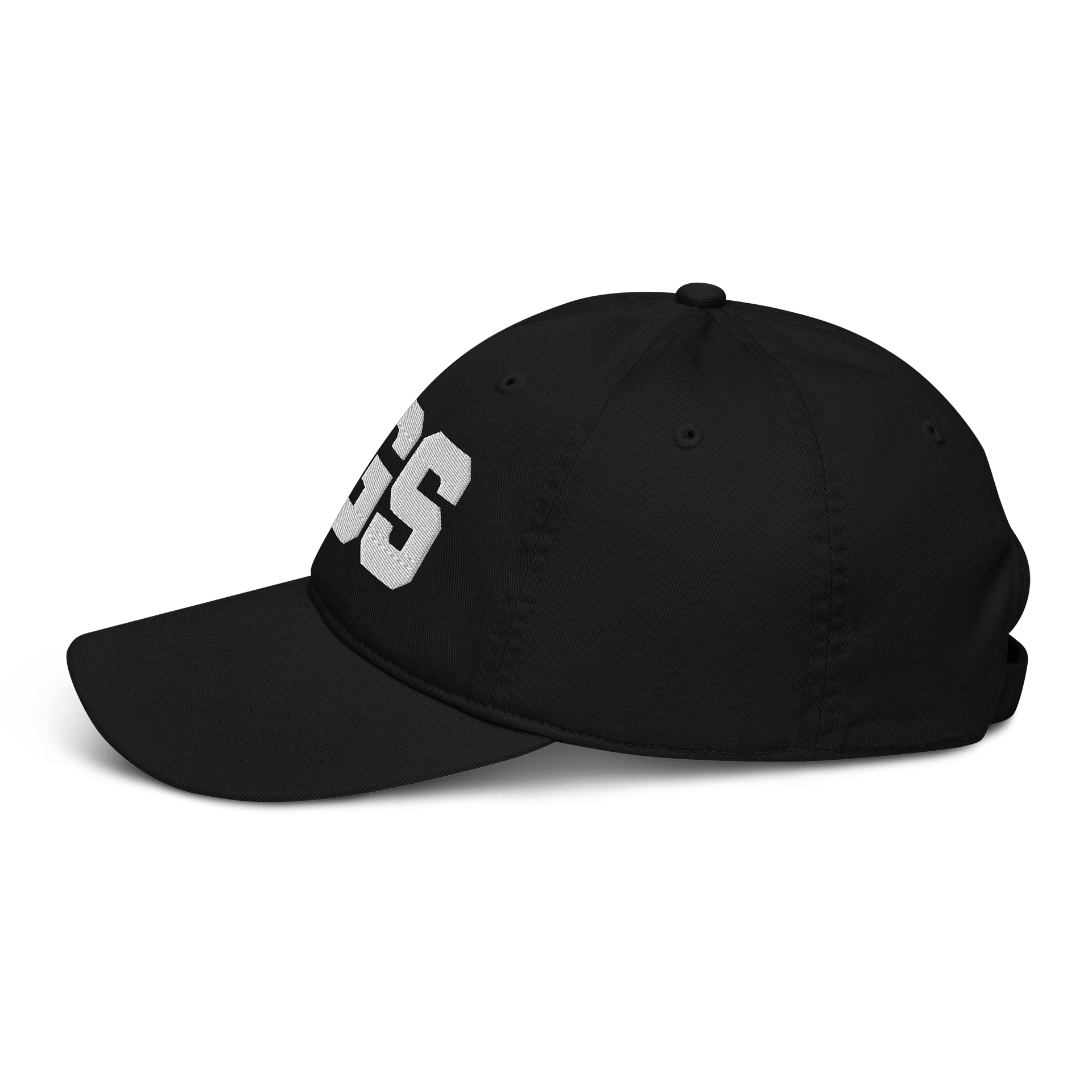 AGS Organic Dad Hat by Econscious product image (6)