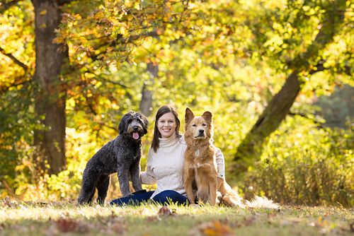 🍂🐾 Enjoying a beautiful fall day with Duke, Dani, and their loving hooman! The vibrant colors and crisp air made for the perf...
