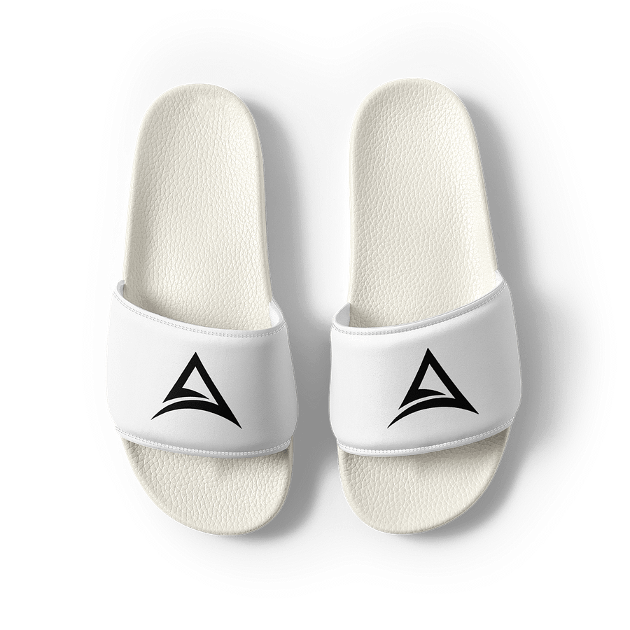 ASCENDANCY Sliders // Logo Black product image (2)