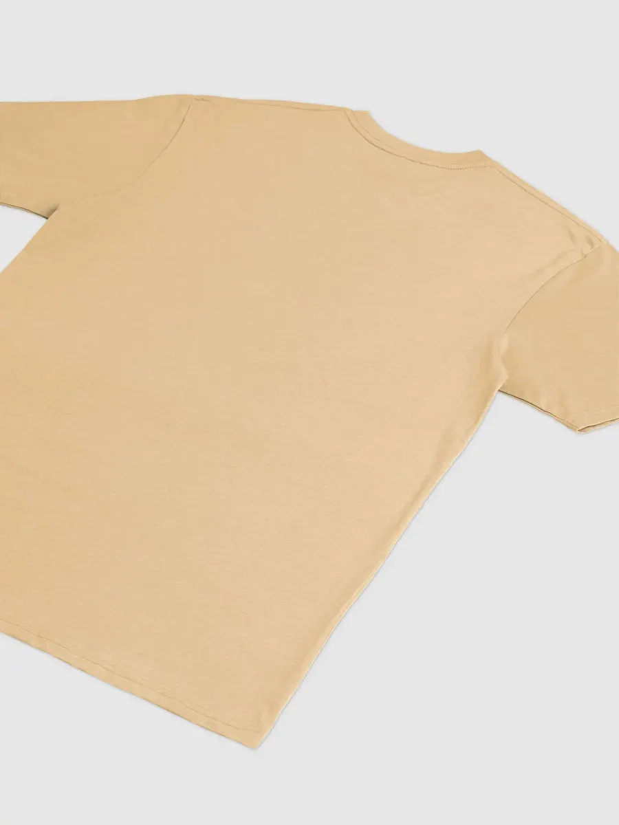 September Celebration T-Shirt (Inside Flag Design) product image (4)