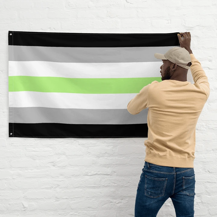 Agender Pride Flag product image (2)