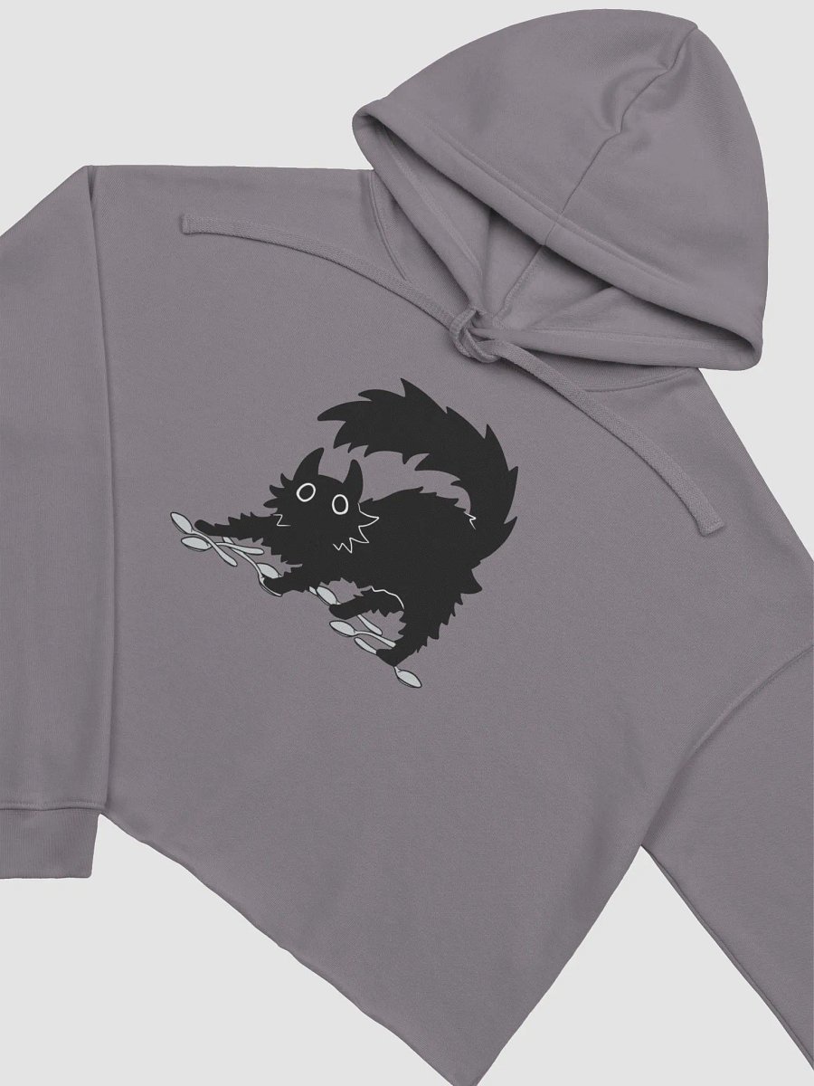 my SPOONS fleece crop hoodie product image (4)