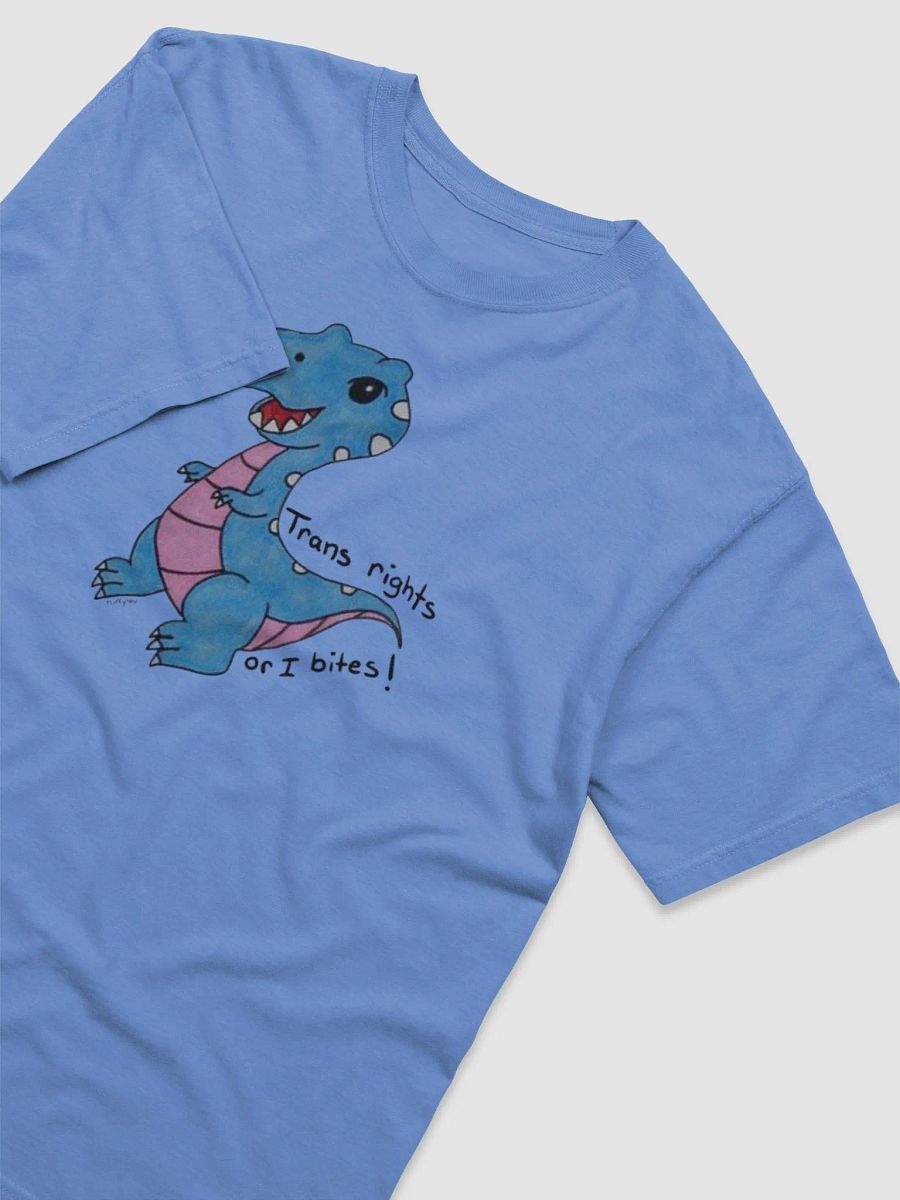 Trans Rights! product image (18)