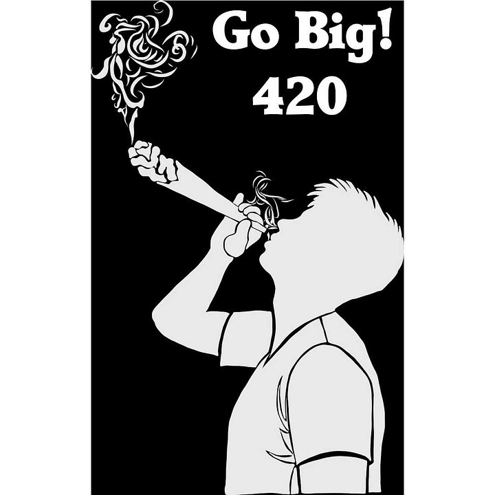 420 Friendly? Then Go Big! A Plant Loving T-Shirt in Black product image (2)