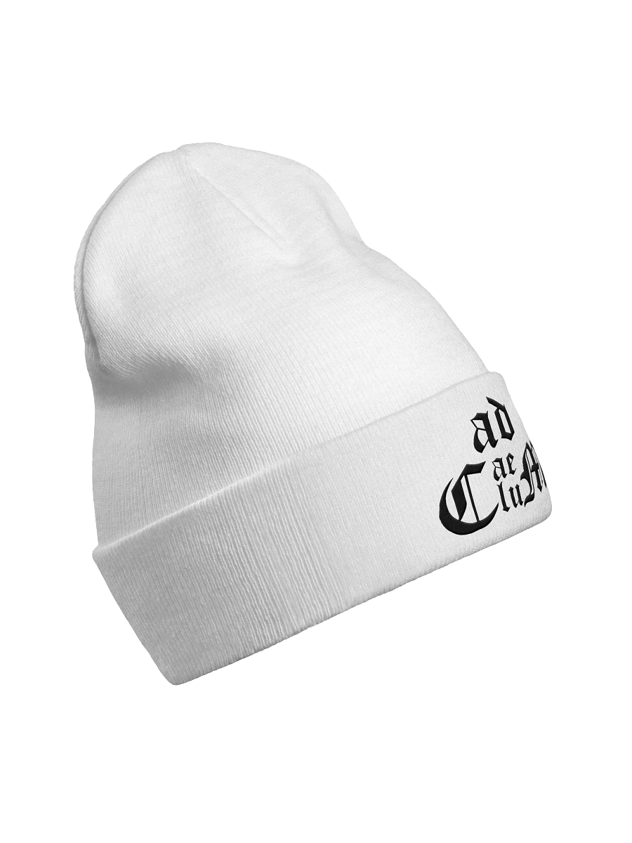 Generic Logo Beanie (White) product image (3)