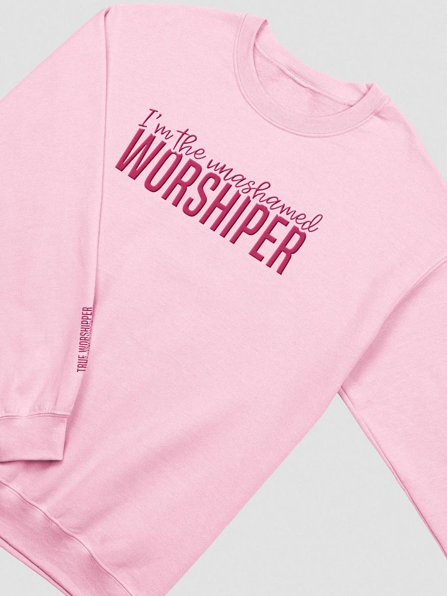 The Unashamed Worshipper Embroidered Sweatshirt- Light Colors product image (6)
