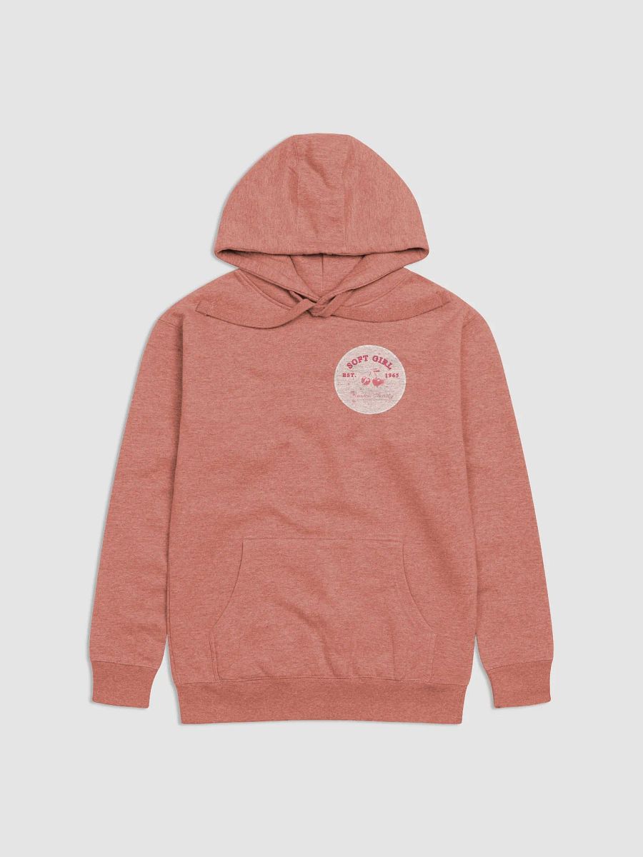 Vintage Cherries Hoodie product image (1)