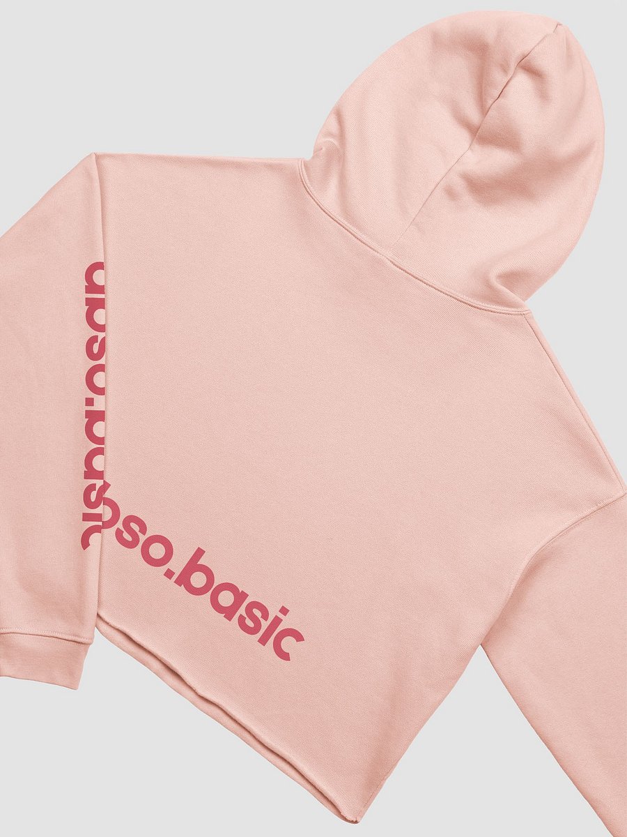 Dirty Angel graffiti Crop Hoodie product image (20)