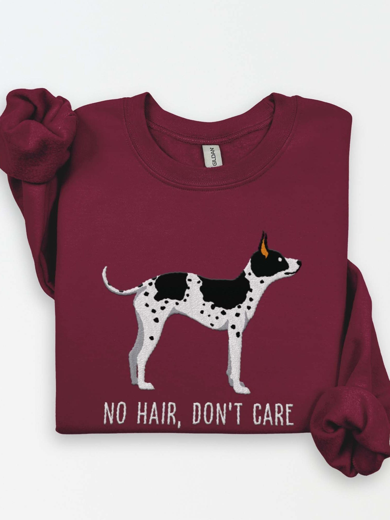 No Hair, Don't Care Sweatshirt (Embroidered) of an American Hairless Terrier(Black & White) product image (1)