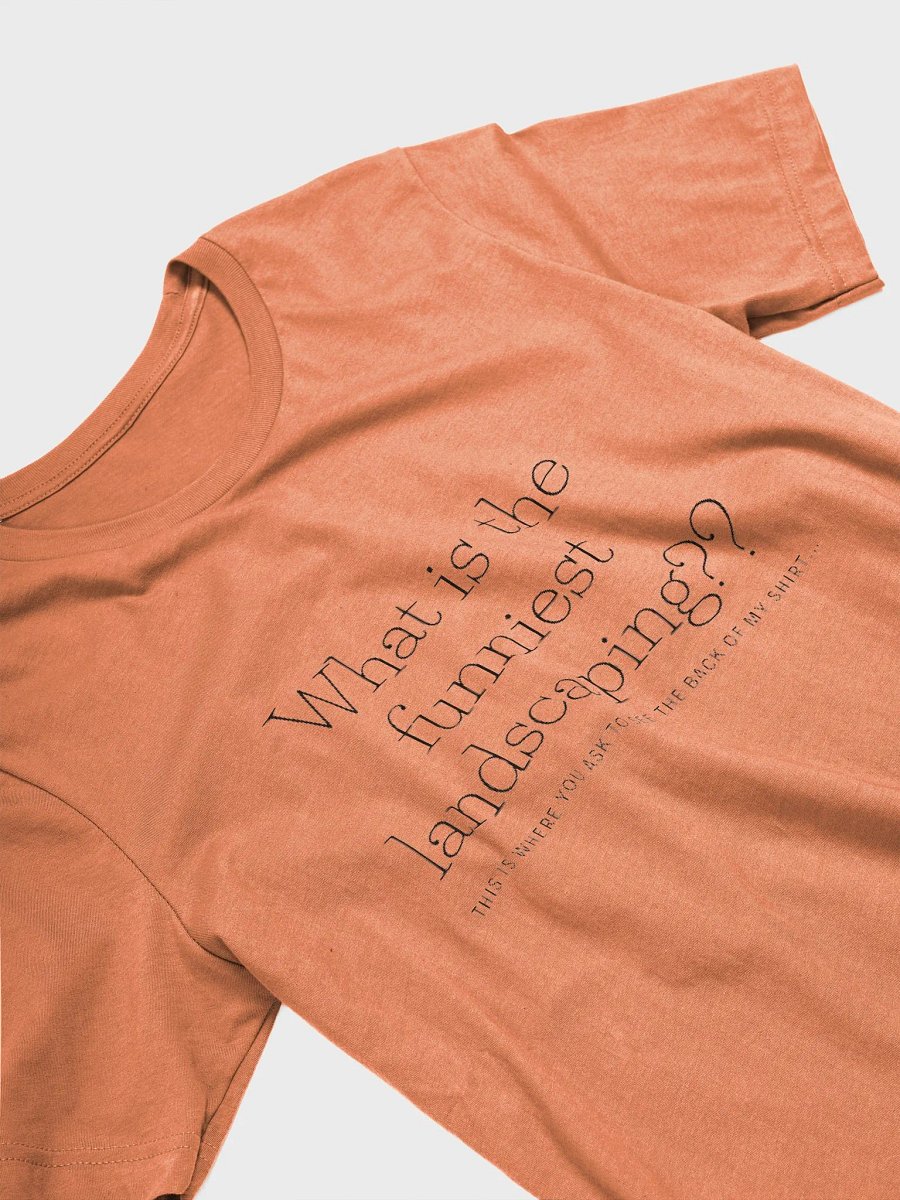 Joke Shirt product image (16)