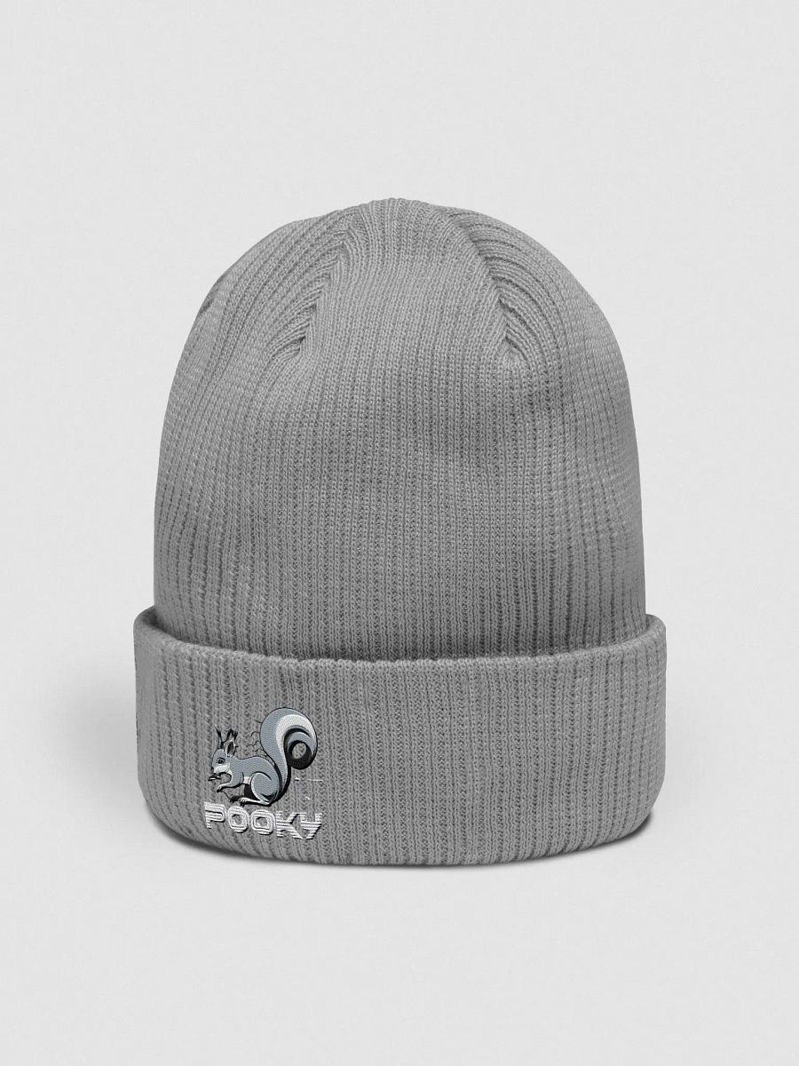 Organic Cotton Embroidered Beanie: POOKY!!!! product image (2)