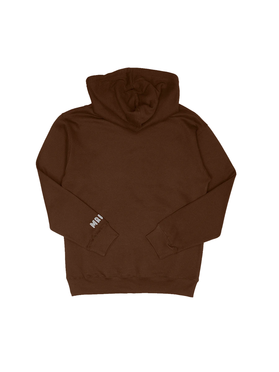 Limited Edition Embroidered Hoodie product image (2)