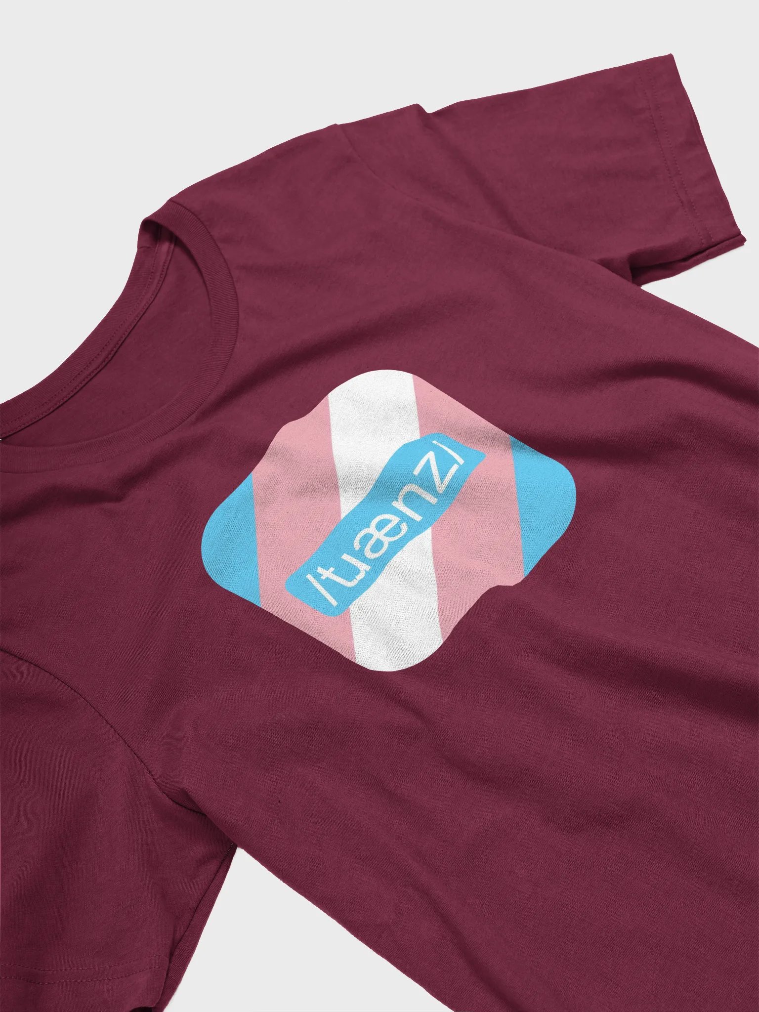 IPA Trans T-Shirt product image (3)