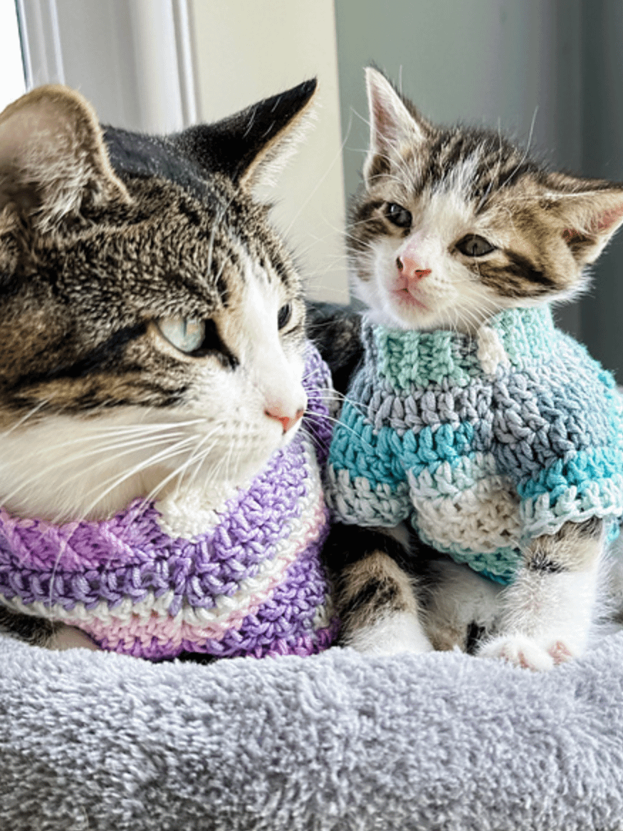 Kitty Pop Pullover Crochet Pattern product image (5)