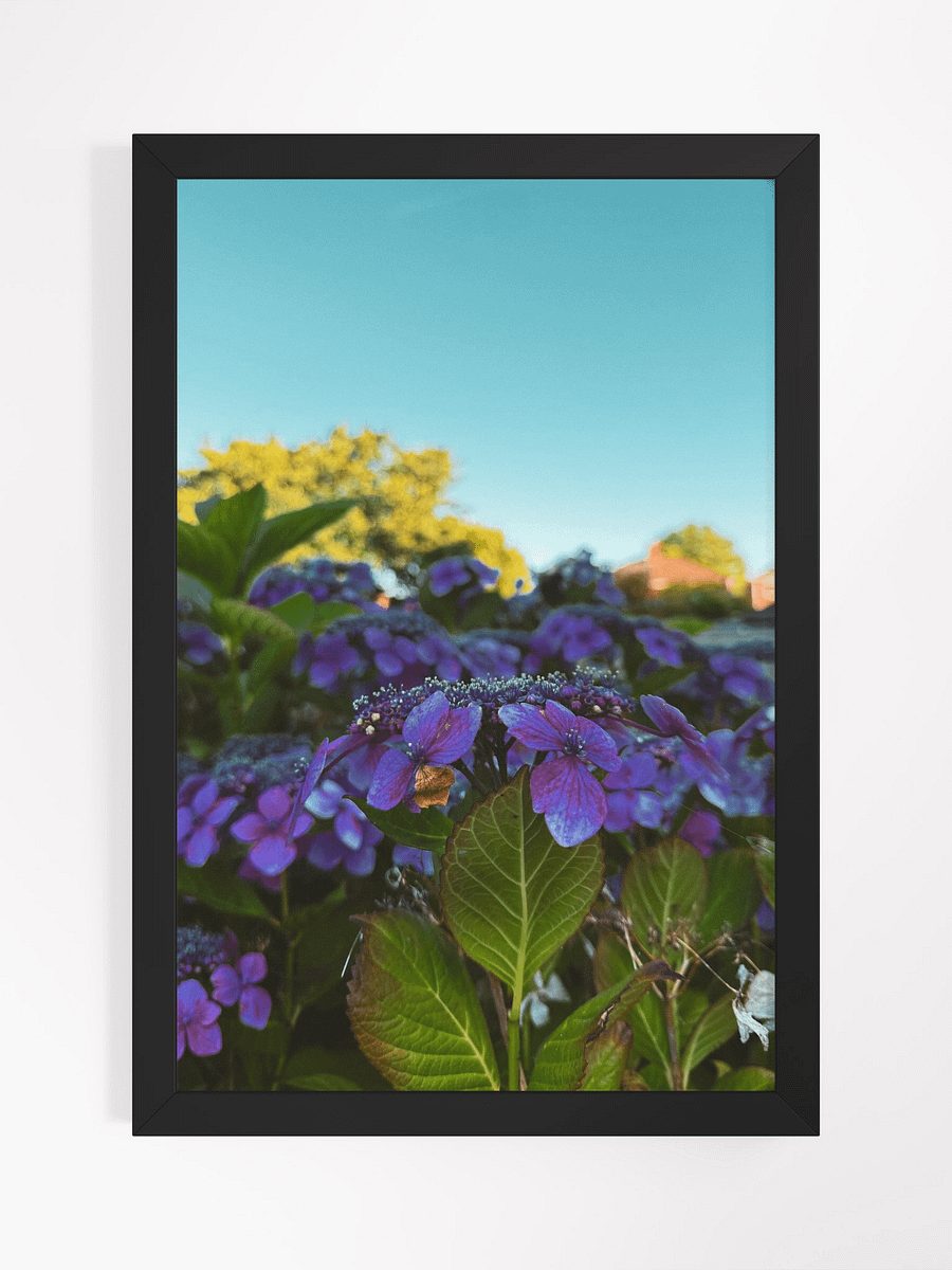 Vibrant Serenity product image (1)