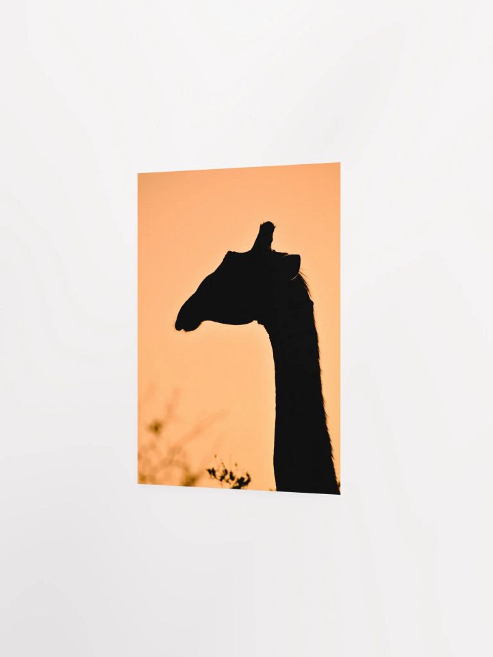 Giraffe Sunset Silhouette Poster product image (9)
