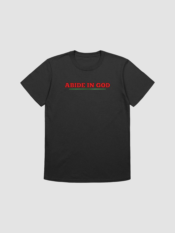 Abide in GOD product image (1)