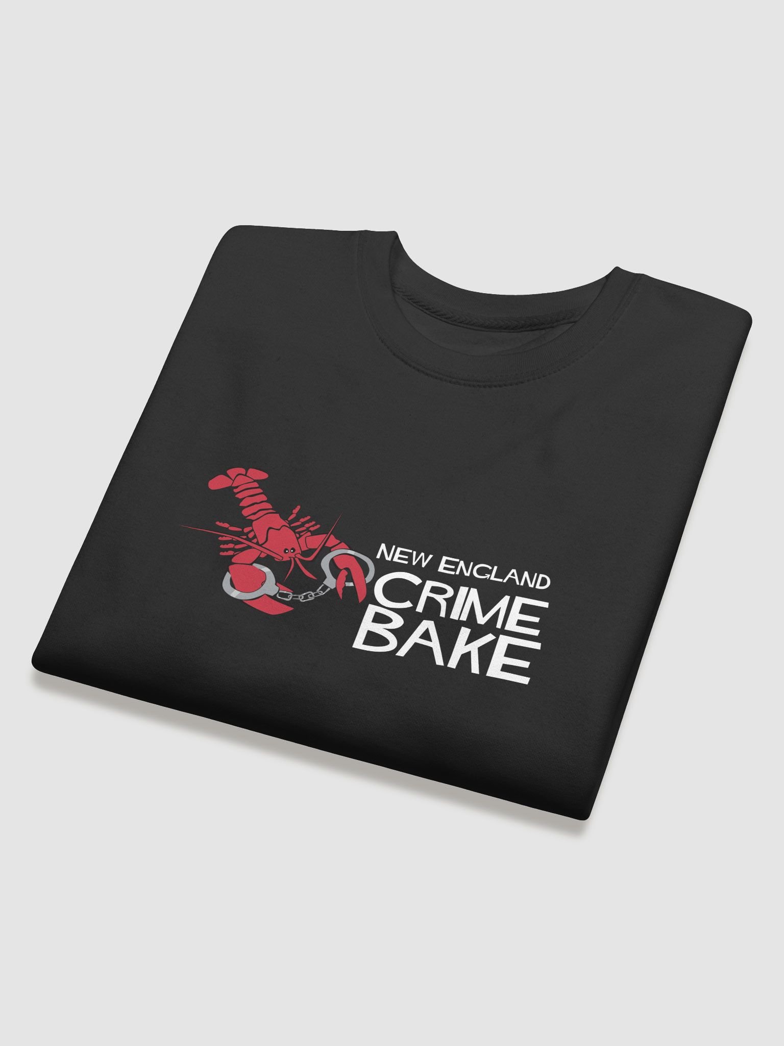 NECB Sweatshirt product image (4)