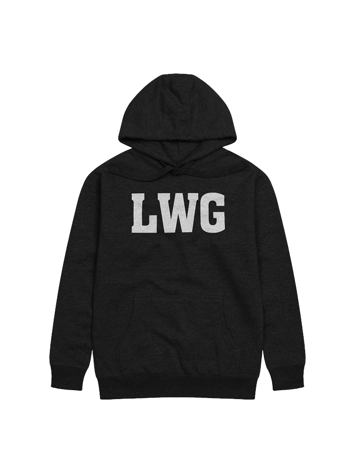 LWG Bold Unisex Hoodie product image (2)