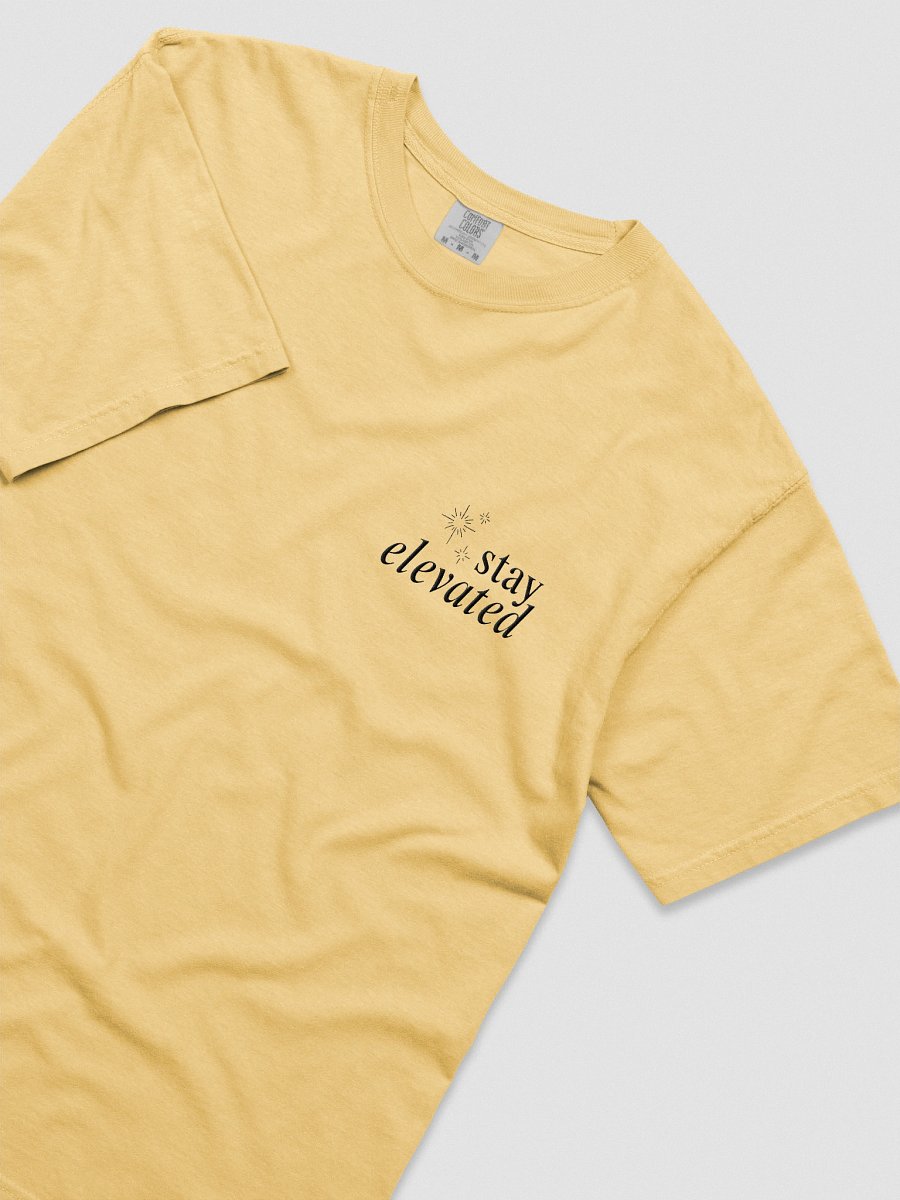 Stay Elevated Embroidered Tee (Light) product image (3)