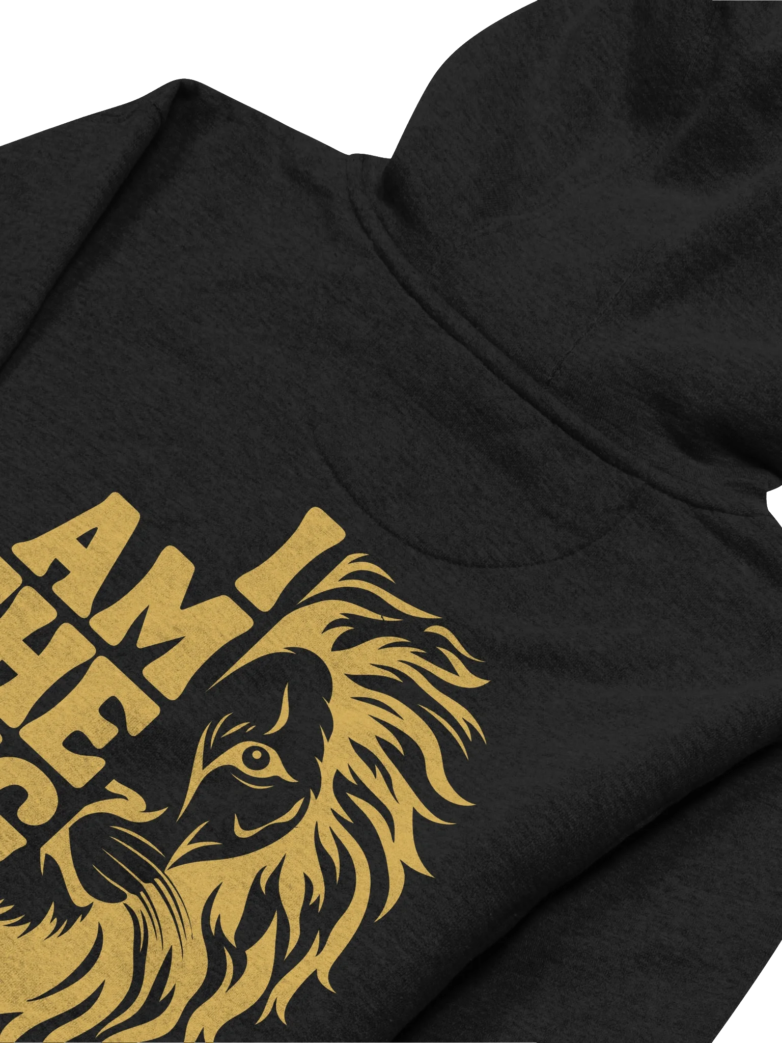 Lion King Kingdom Hoodie product image (4)