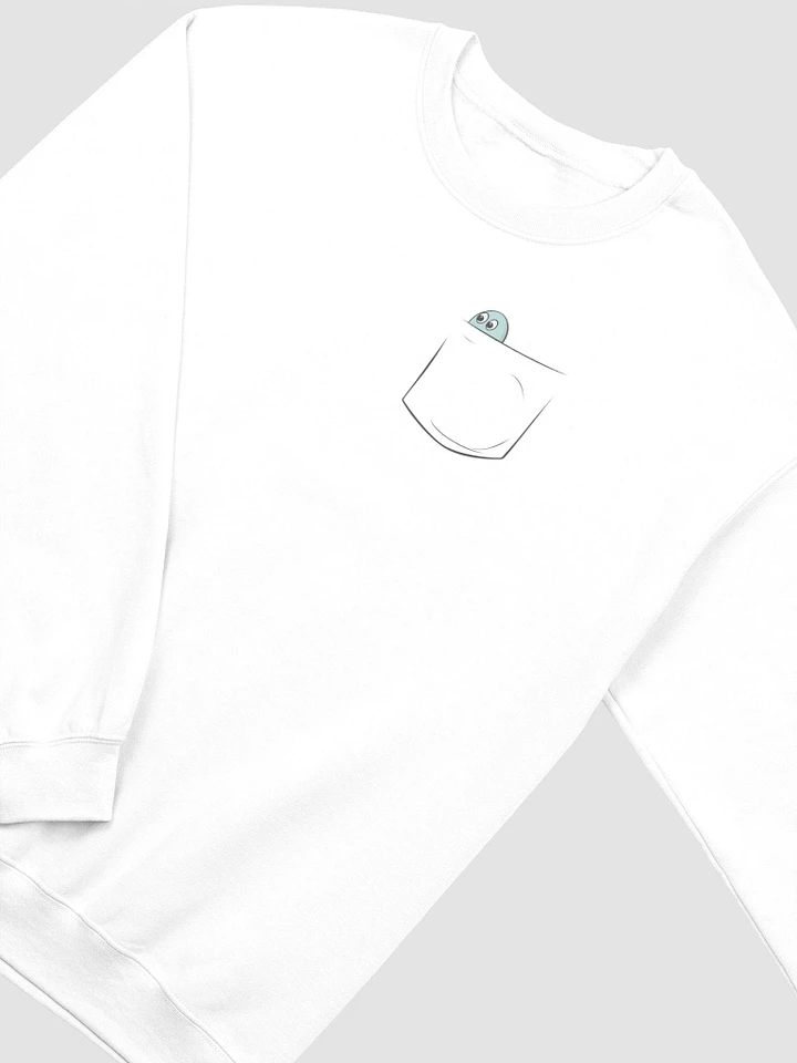 Pocket Saurus Sweater product image (1)