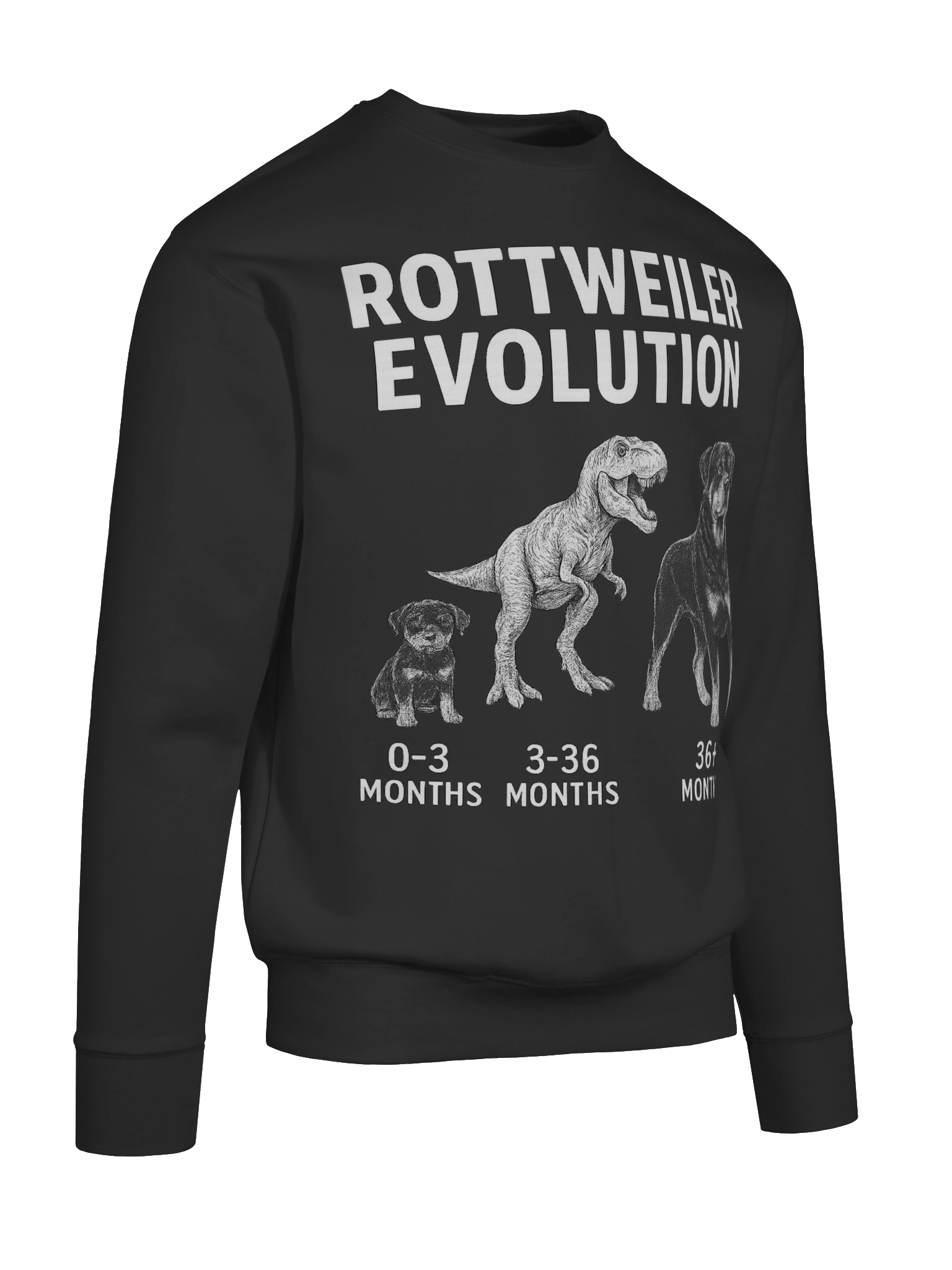 Rottweiler Evolution Premium Sweatshirt product image (57)