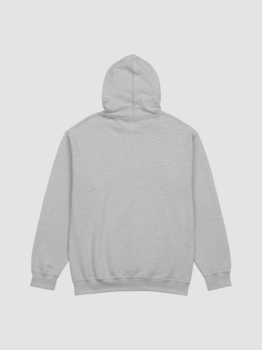 Regamaster is in the eye of the beholder - Hoodie product image (20)