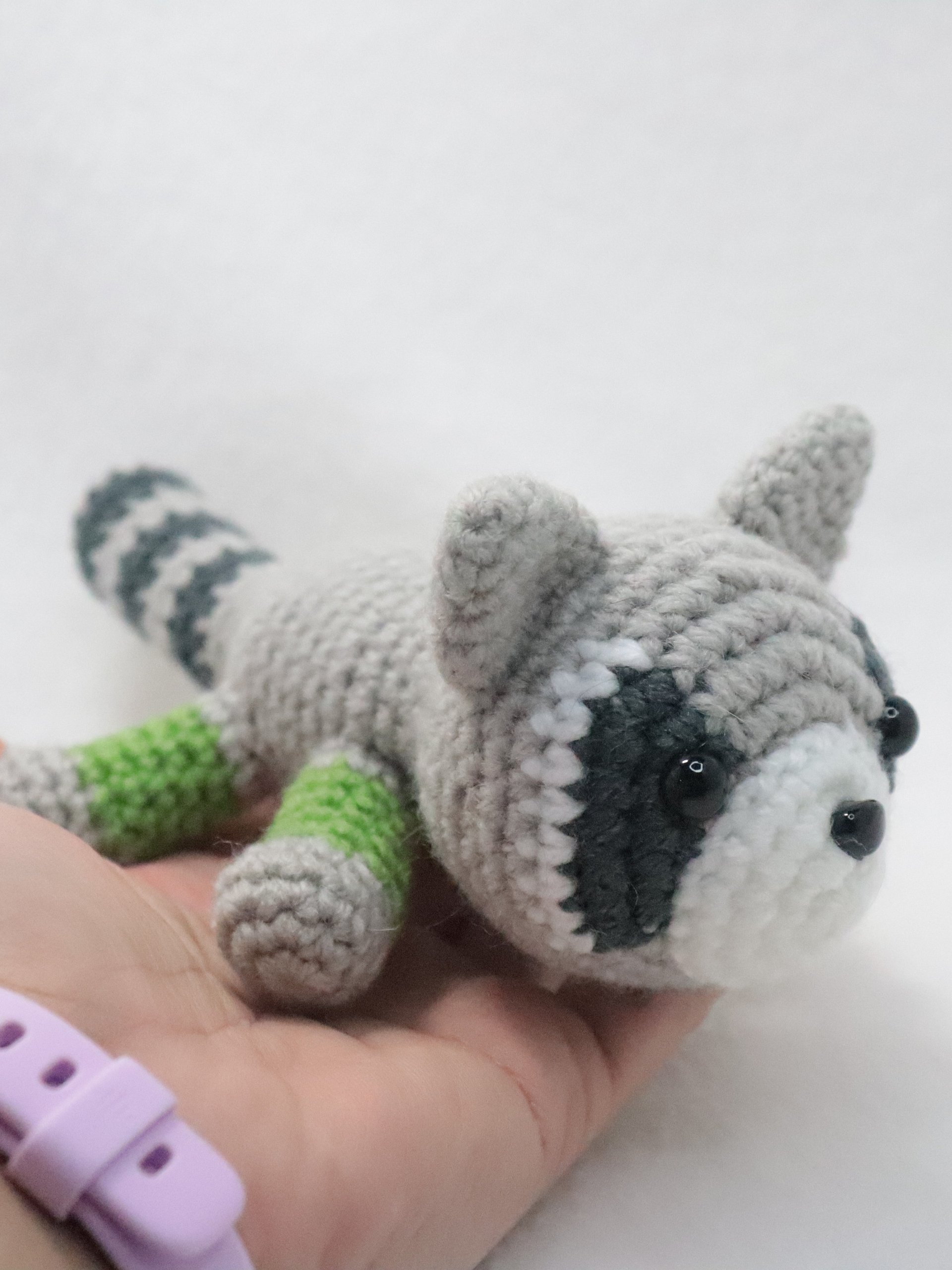 Agender Raccoon product image (2)
