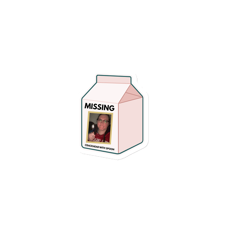 Missing Milk Carton Magnets product image (1)