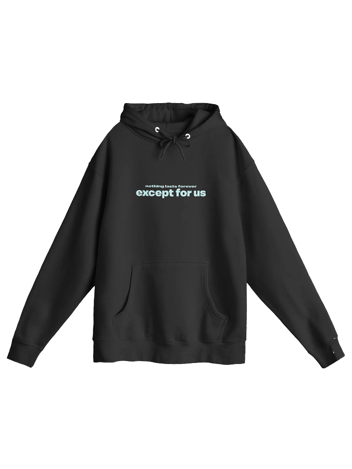 Except For Us Hoodie product image (1)