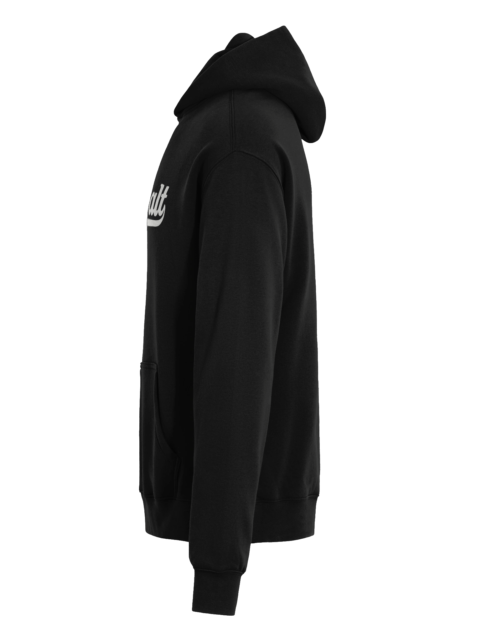 DatSalt Classic Script Hoodie product image (7)