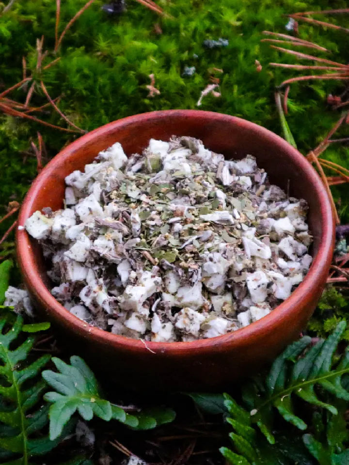 Forest Archer Tea (H) product image (1)