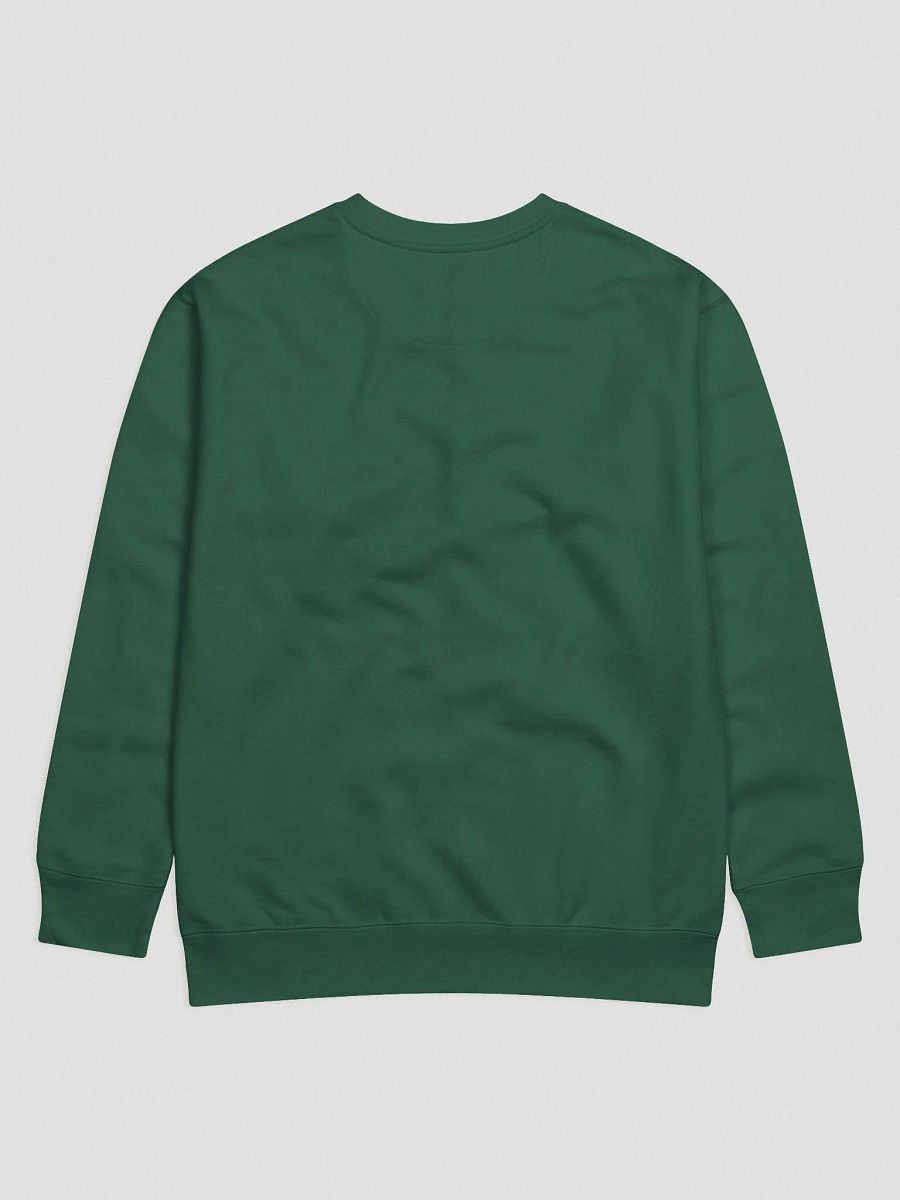 Sweatshirt w/ White ink product image (12)