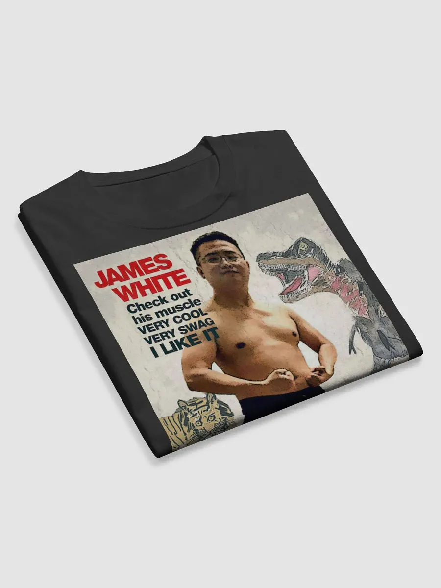 Champion Long Sleeve Shirt : swag warrior product image (5)