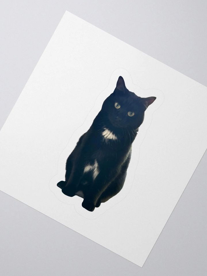 Romeo Sticker product image (2)