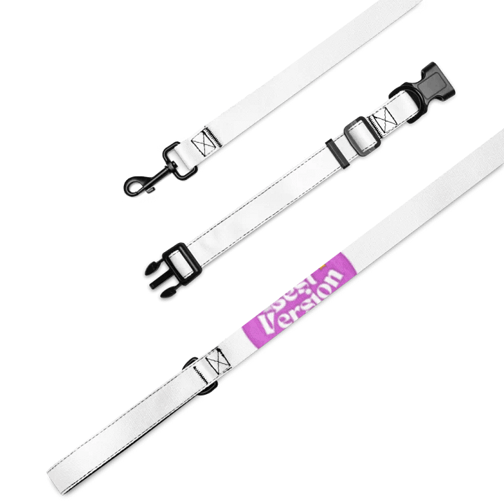 Stellar Pet Collar & Leash Set product image (1)