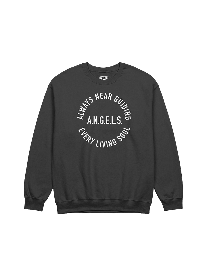 A.N.G.E.L.S. Sweatshirt product image (1)