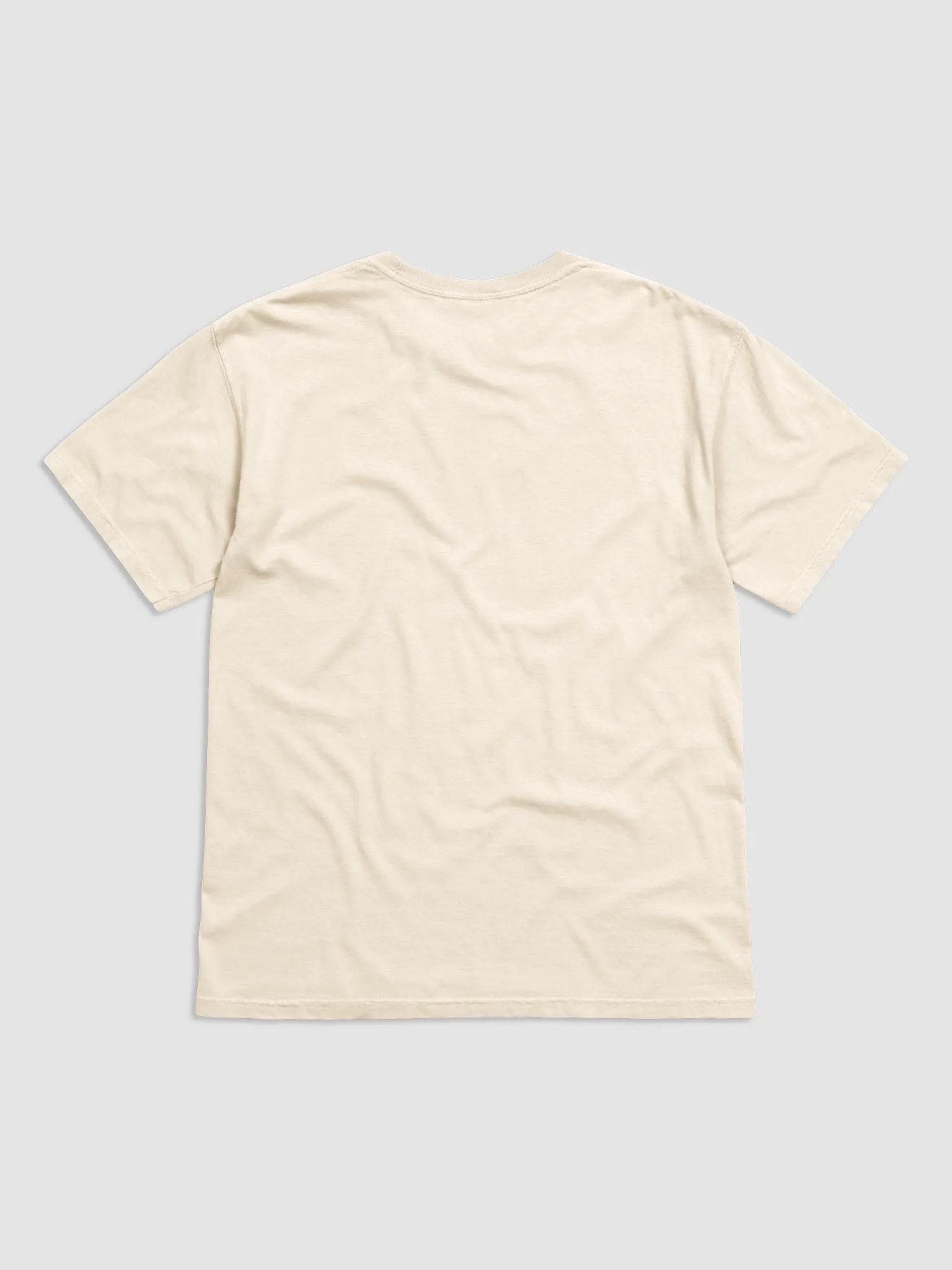 “I Support Taiwan” Comfort Heavyweight Tee product image (3)